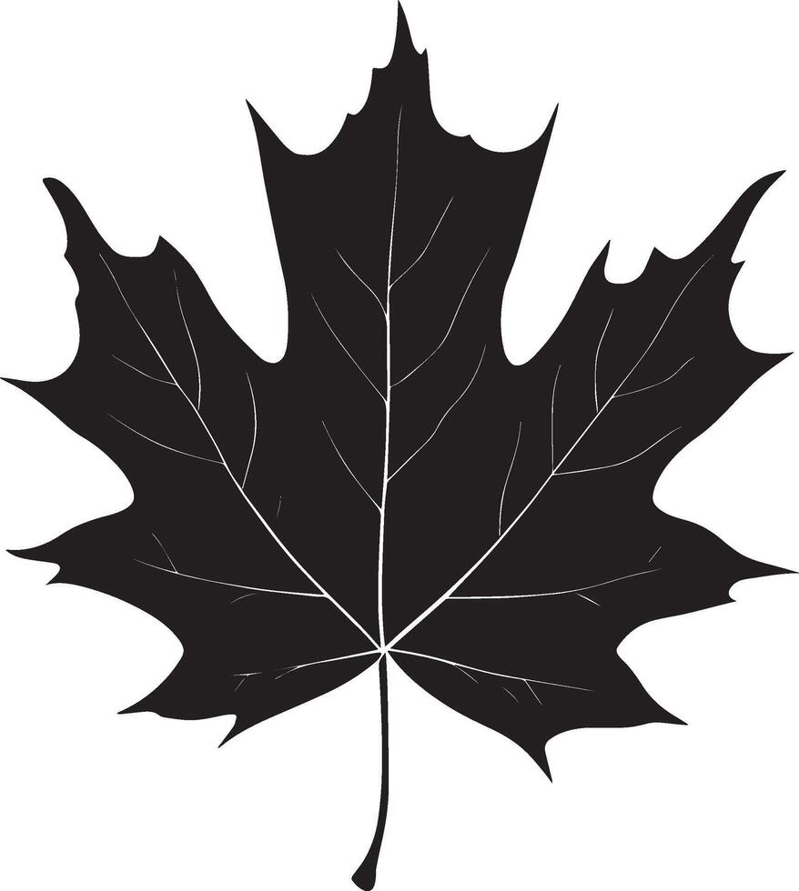 maple leave clean simple silhouette black vector