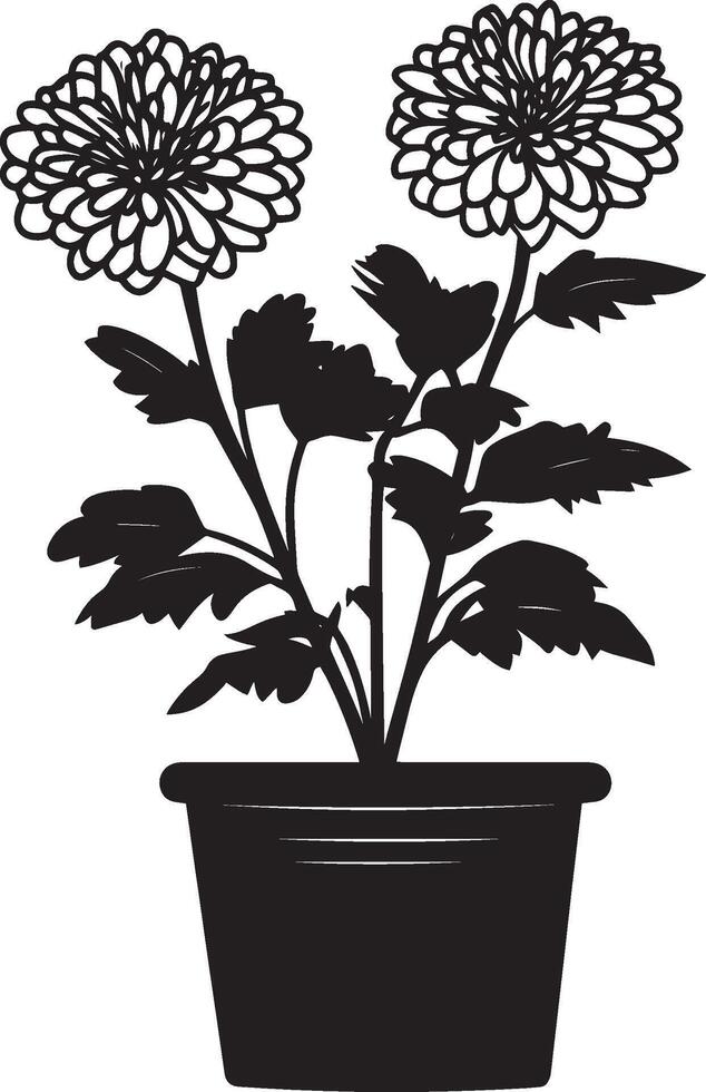 Chrysanthemum flowers in pot clean simple silhouette black vector