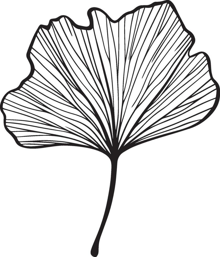Ginko leaf clean simple icon outline black vector