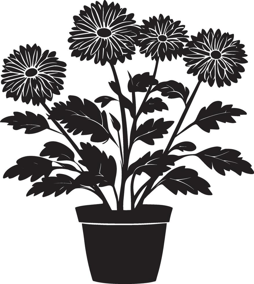 Chrysanthemum flowers in pot clean simple icon silhouette black vector