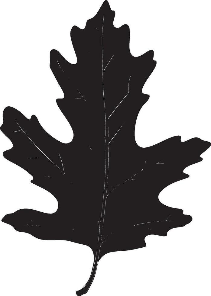 Oak leaf clean simple silhouette black vector