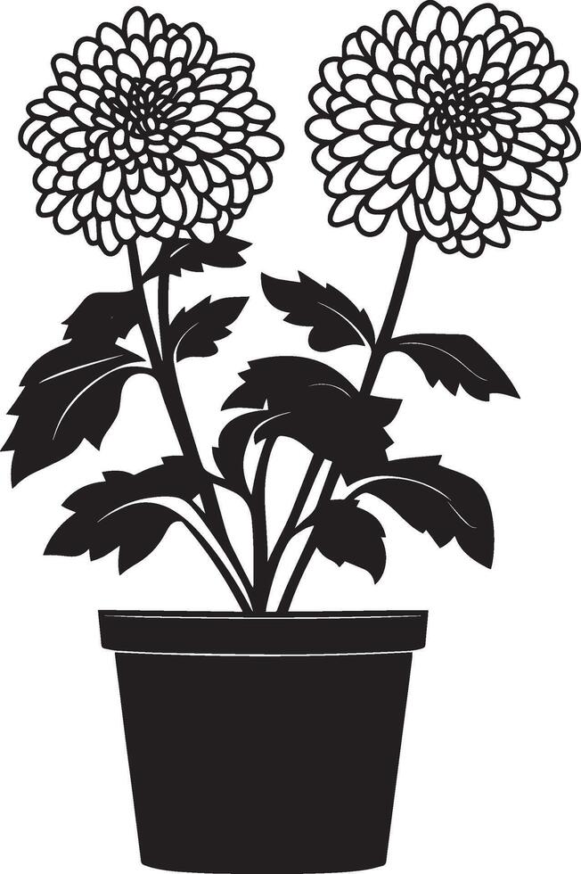 Chrysanthemum flowers in pot clean simple silhouette black vector