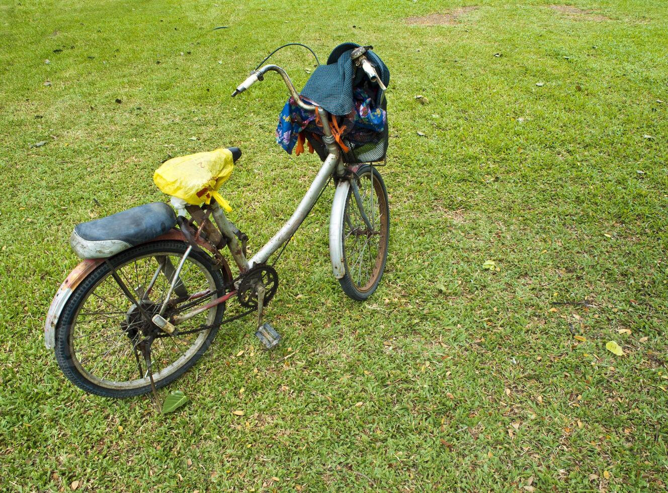 Old bicycle of garden staff photo