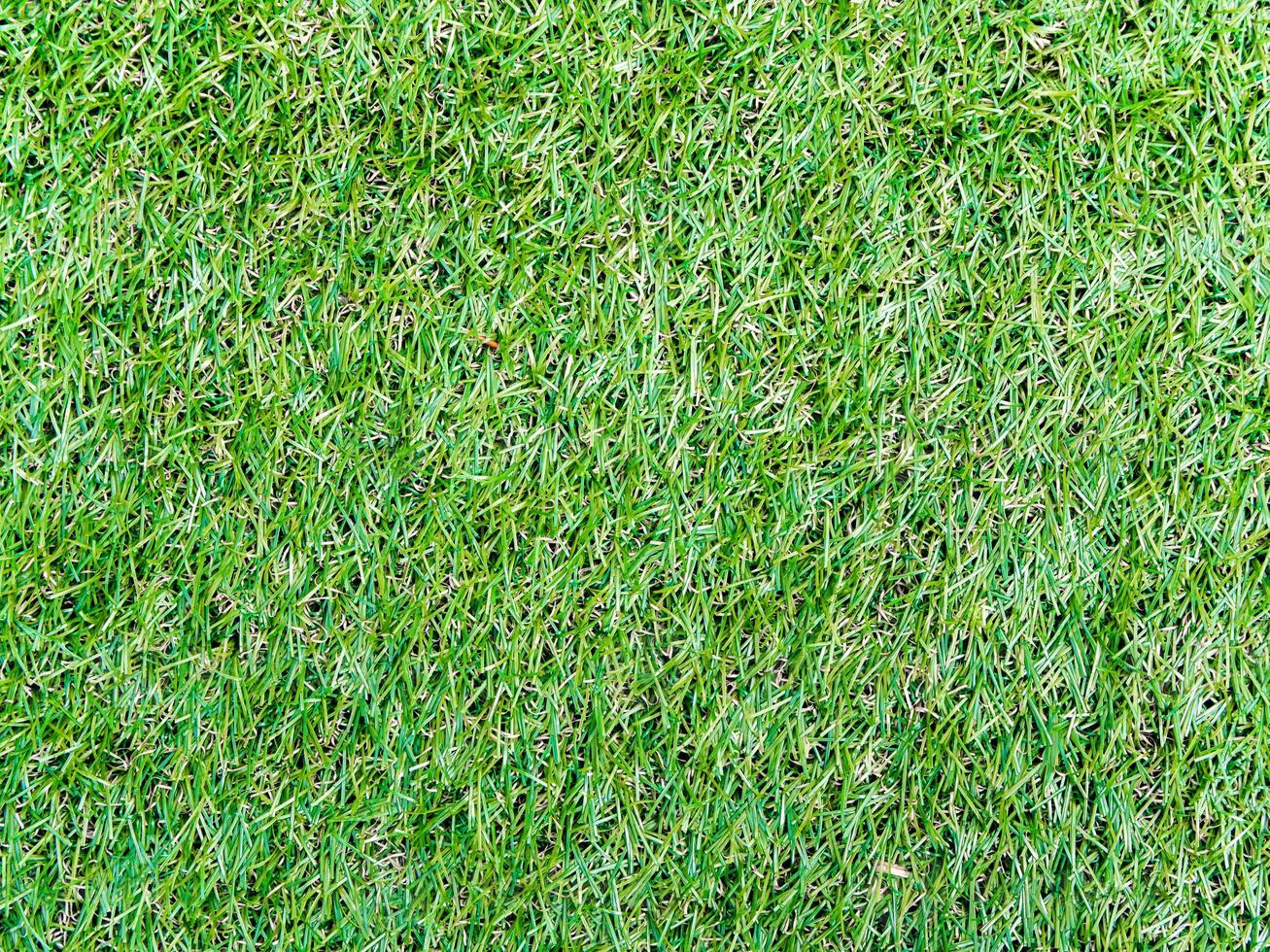 Texture of plastic grass on artificial turf photo