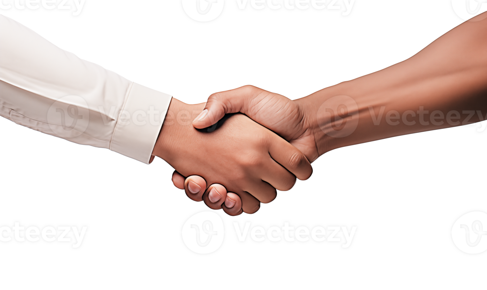 Partnership concept. Cropped image of two businesspeople shaking hands isolated on transparent background png
