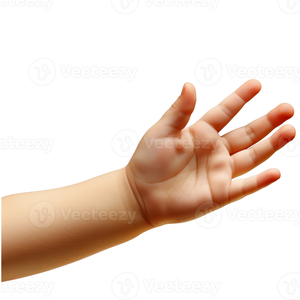 Child's hand isolated on transparent background png