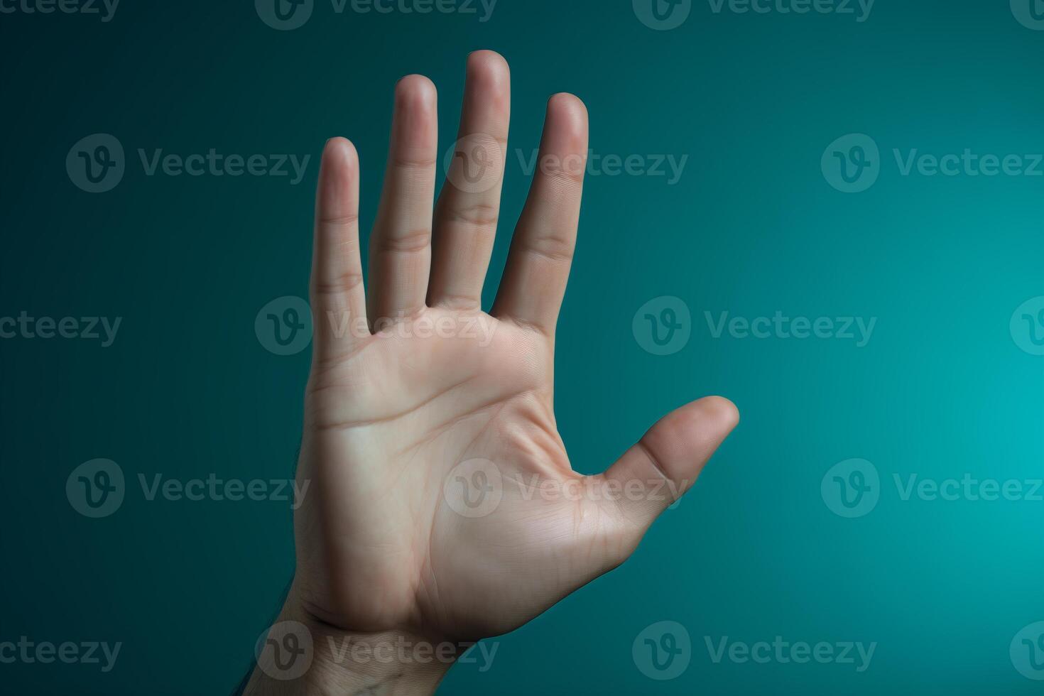 A close-up view of a hand showing texture and details. photo