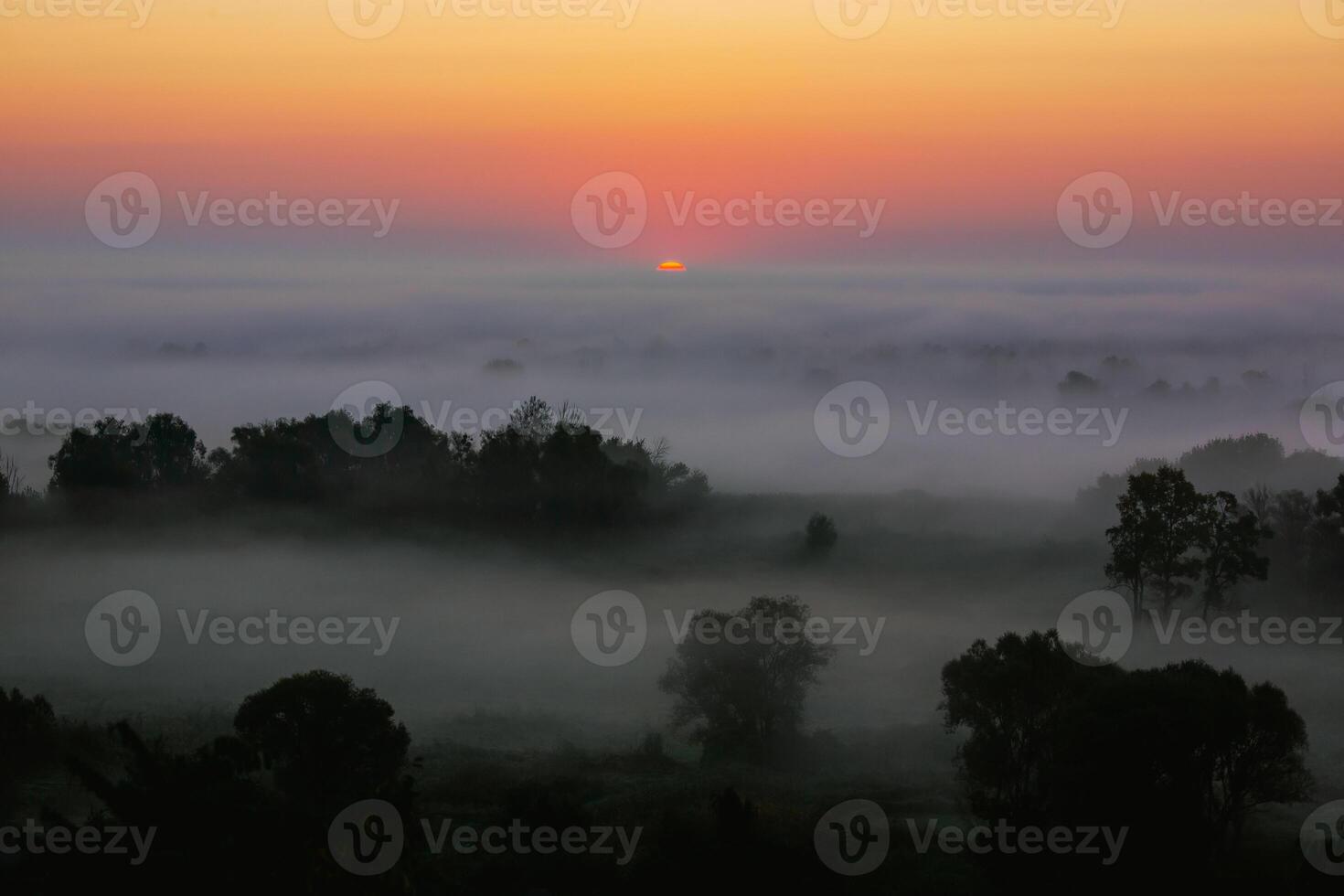 A morning landscape where trees and fields are engulfed in thick fog. The sun rises above the horizon, slightly breaking through the fog photo