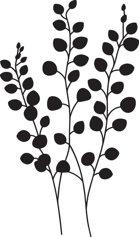 eucalyptus leaves with branches clean simple icon outline black vector