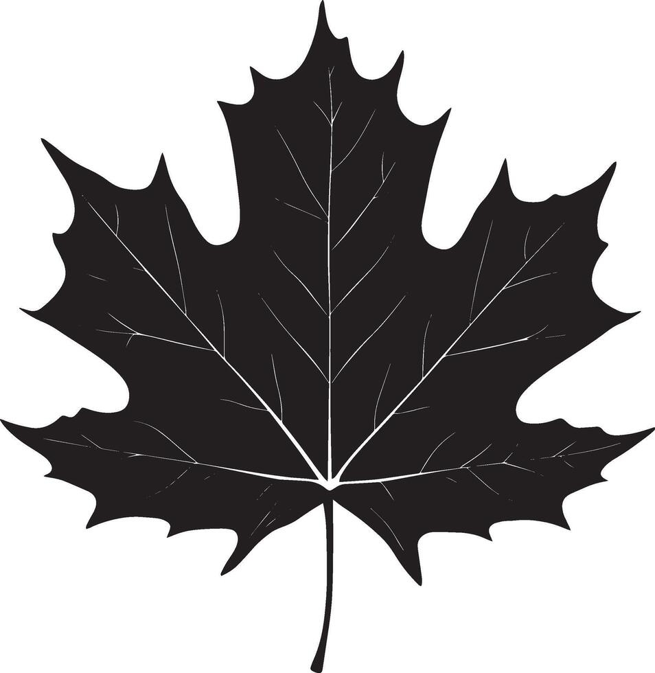 Maple leave clean simple silhouette black vector