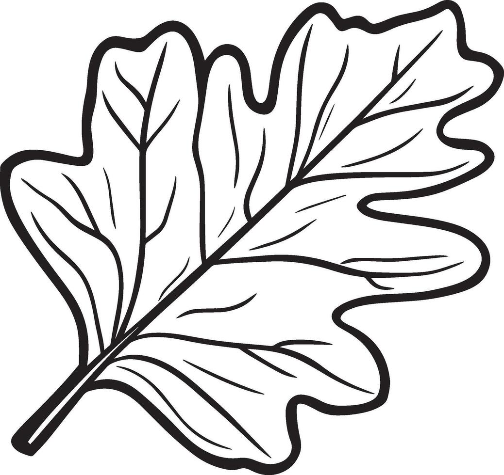 Oak leaf clean simple linear outline black vector