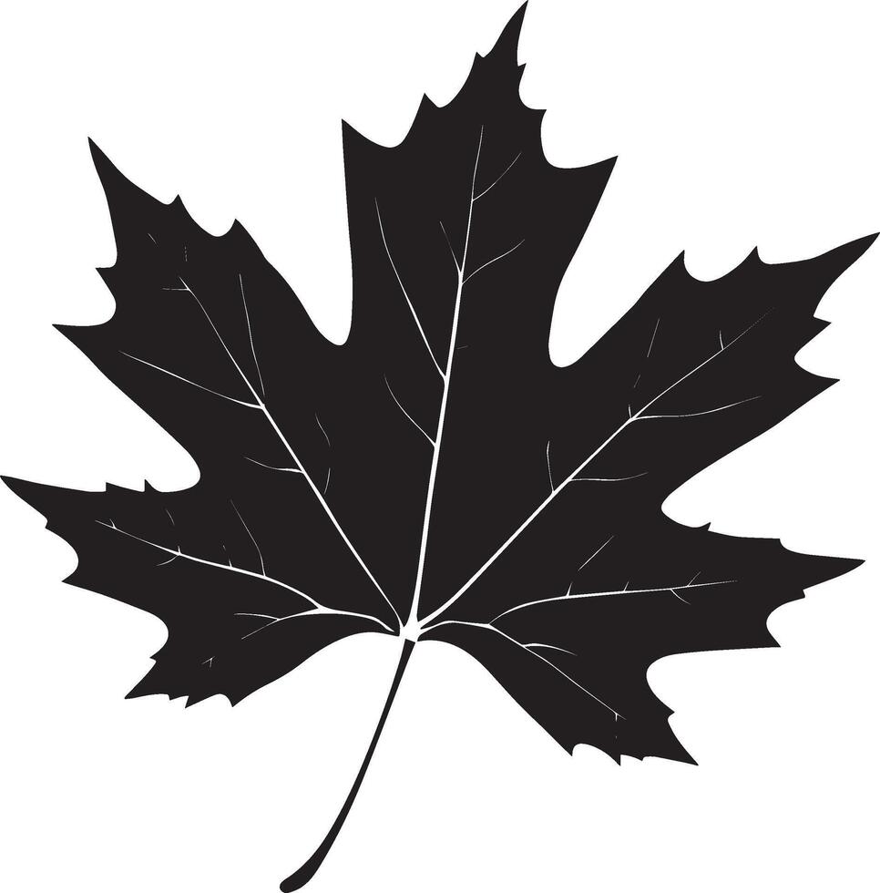 maple leave clean simple silhouette black vector