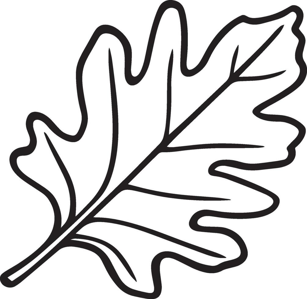 Oak leaf clean simple linear outline black vector