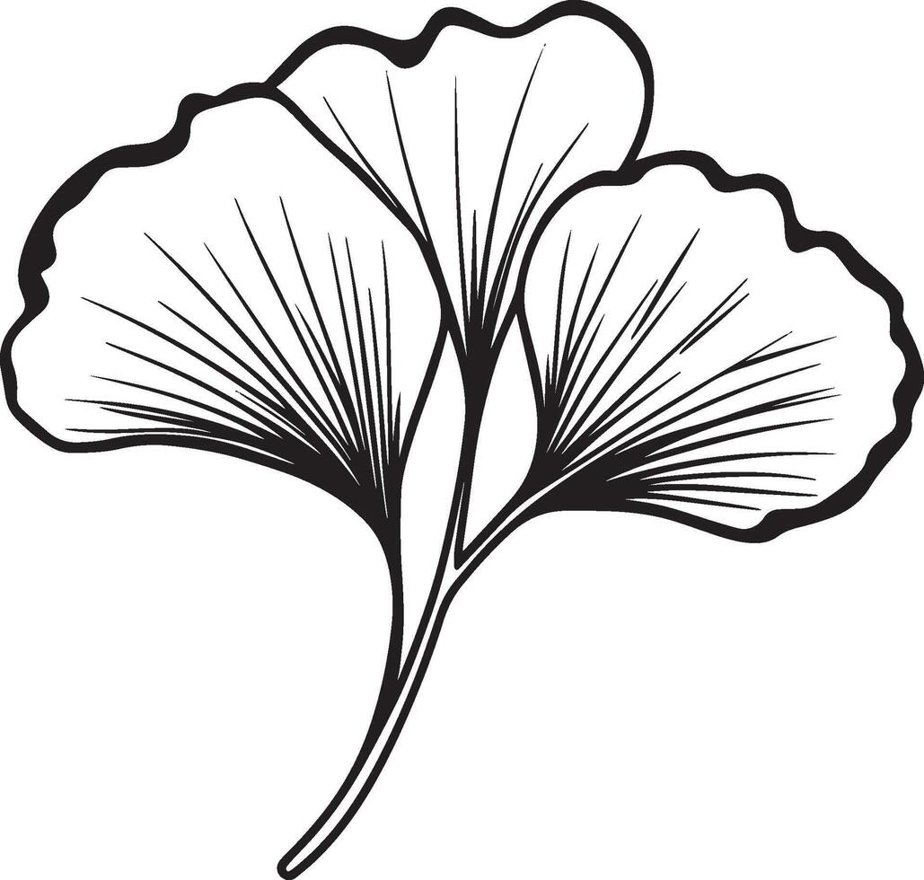 Ginko leaf clean simple icon outline black vector