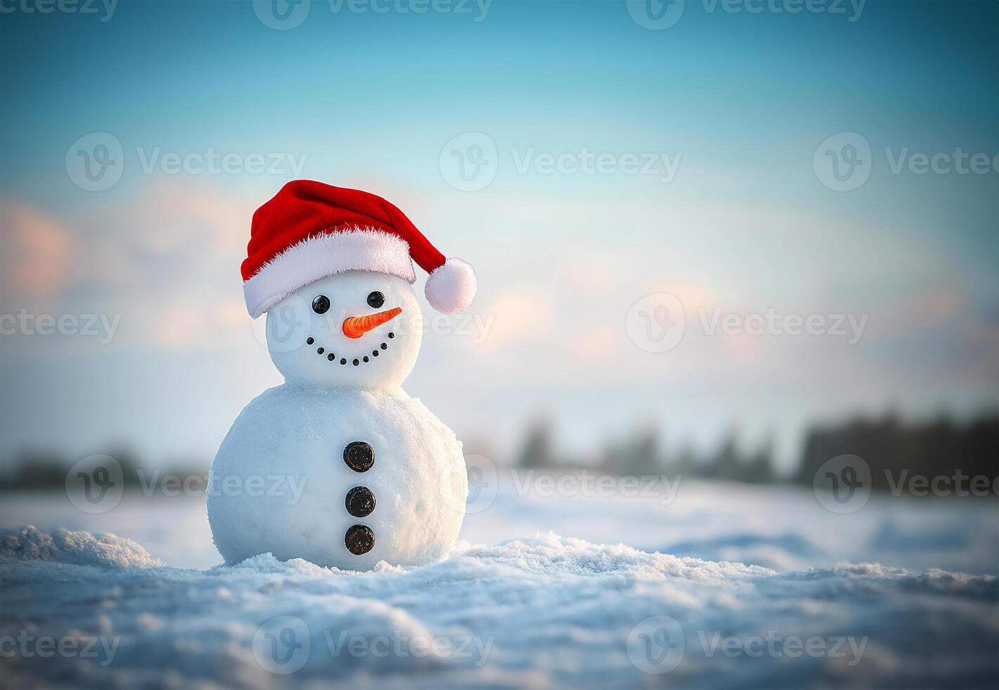 Cute snowman, Santa hat, copy space photo