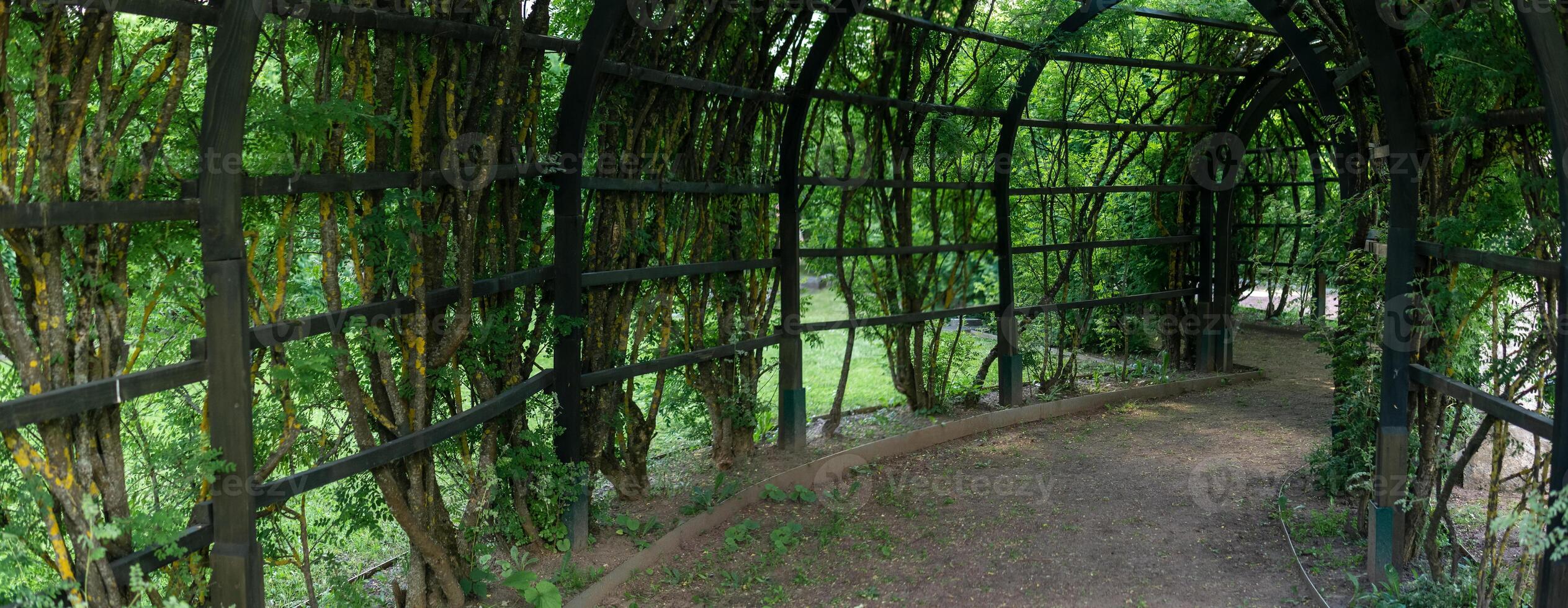 view from inside a shady pergola in a park photo