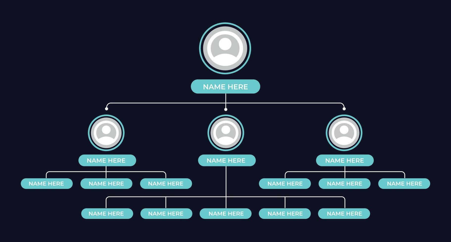 Organization or Company Structure vector