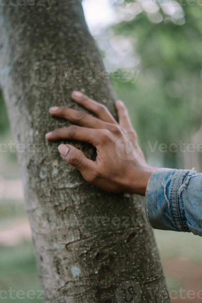 Close-up of a hand holding a tree trunk, symbolizing a connection with nature. photo