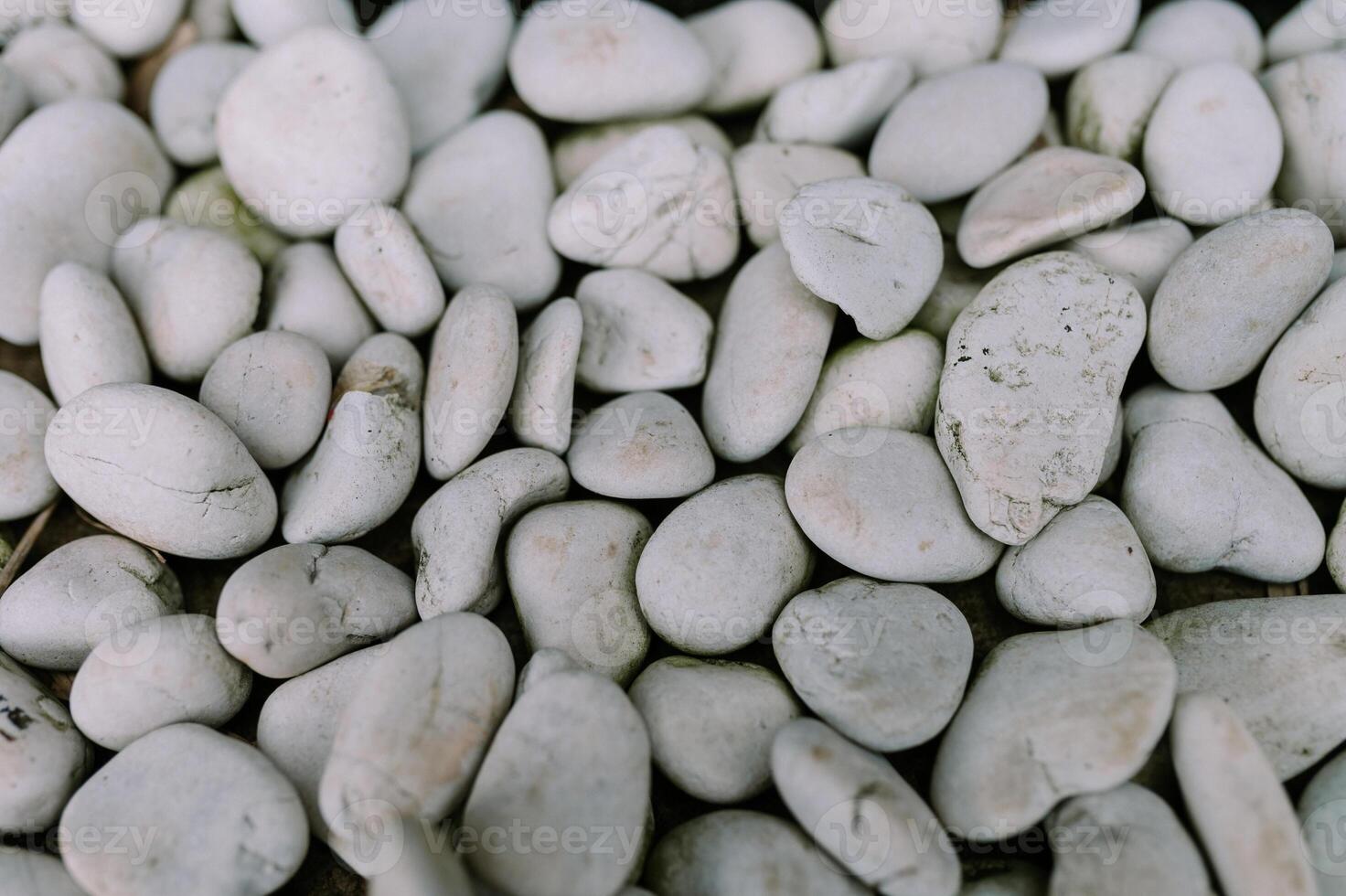 Smooth, white river stones arranged neatly. Ideal for themes of natural beauty, landscaping photo
