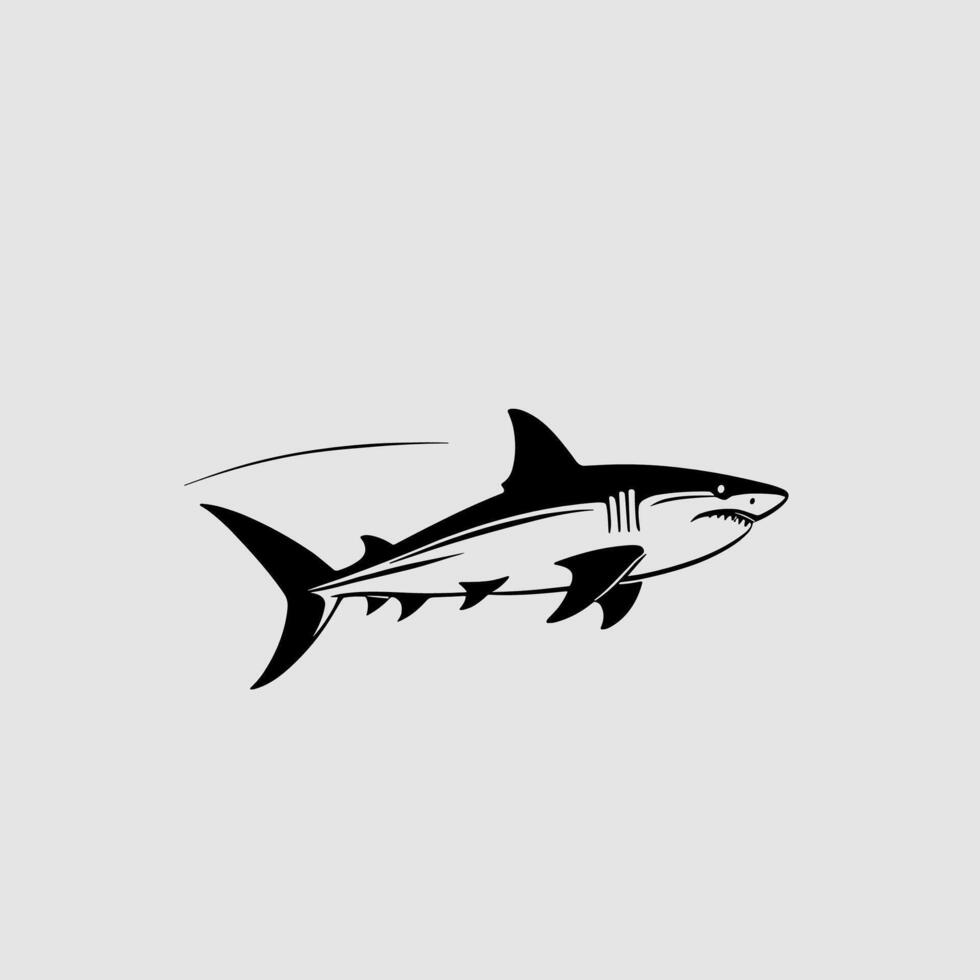 Aggressive Shark Illustration vector