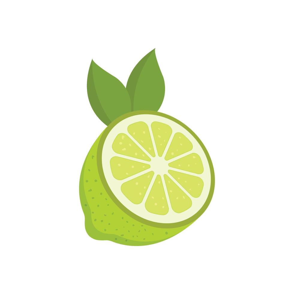 Lime fruit icon in flat style. Organic fruits illustration on isolated background. Vitamin C food sign business concept. vector