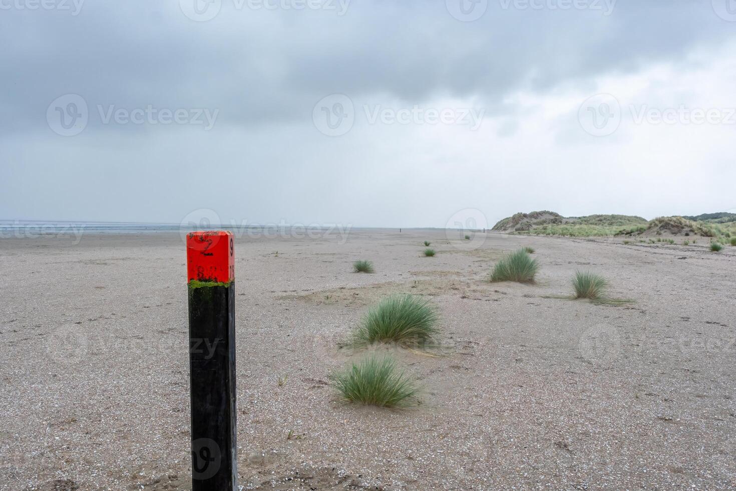 wooden beach pile on the coast in ouddorp, the netherlands, in cloudy autumn weather photo