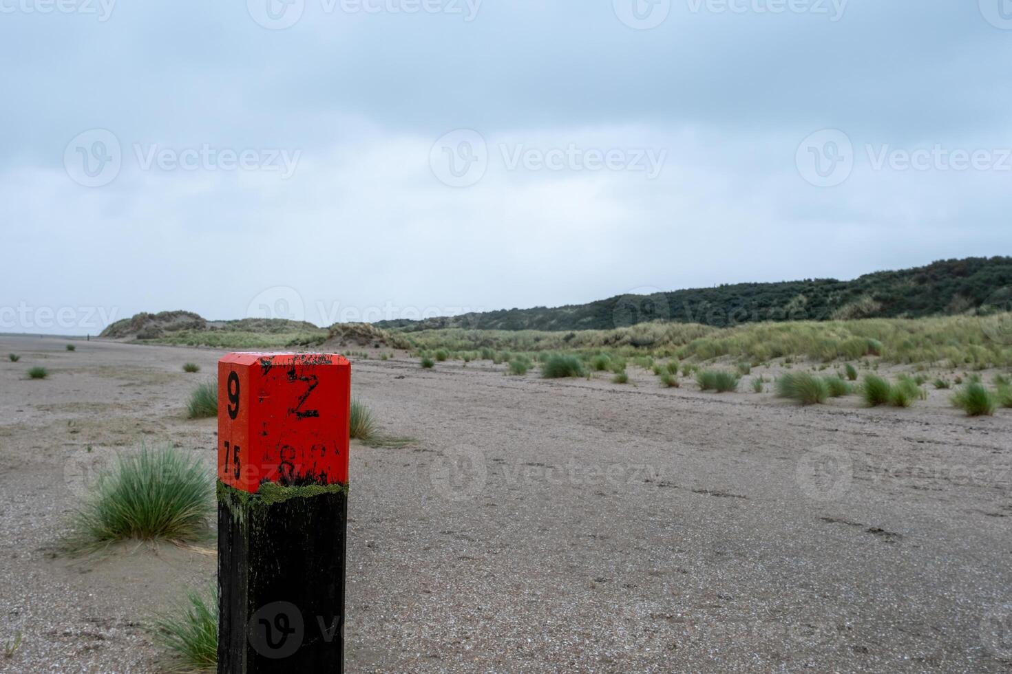 wooden beach pile on the coast in ouddorp, the netherlands, in cloudy autumn weather photo