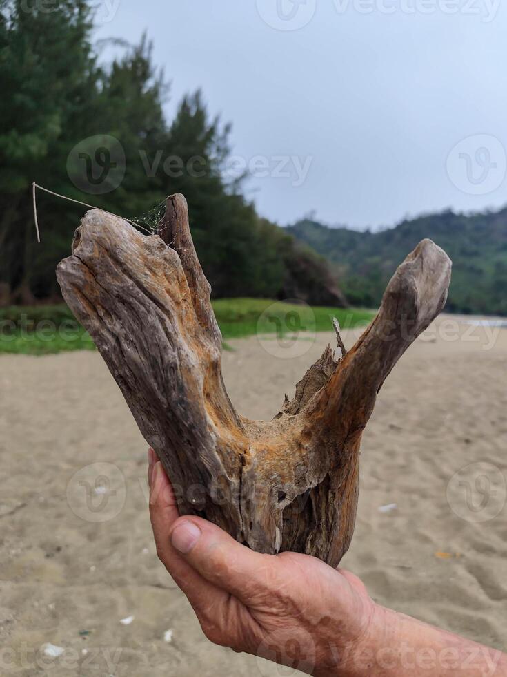 Very unique wood texture shape photo