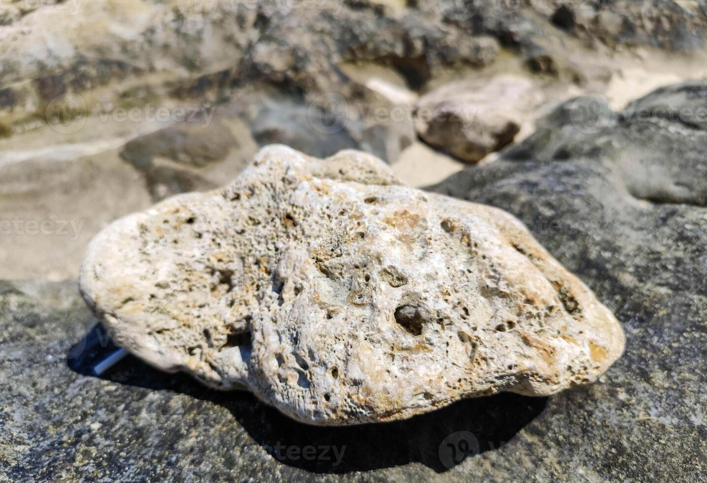 The texture of the beach stone is very beautiful and full of unique patterns photo