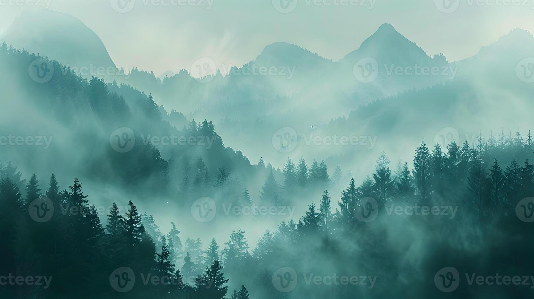 A forest in a thick fog photo