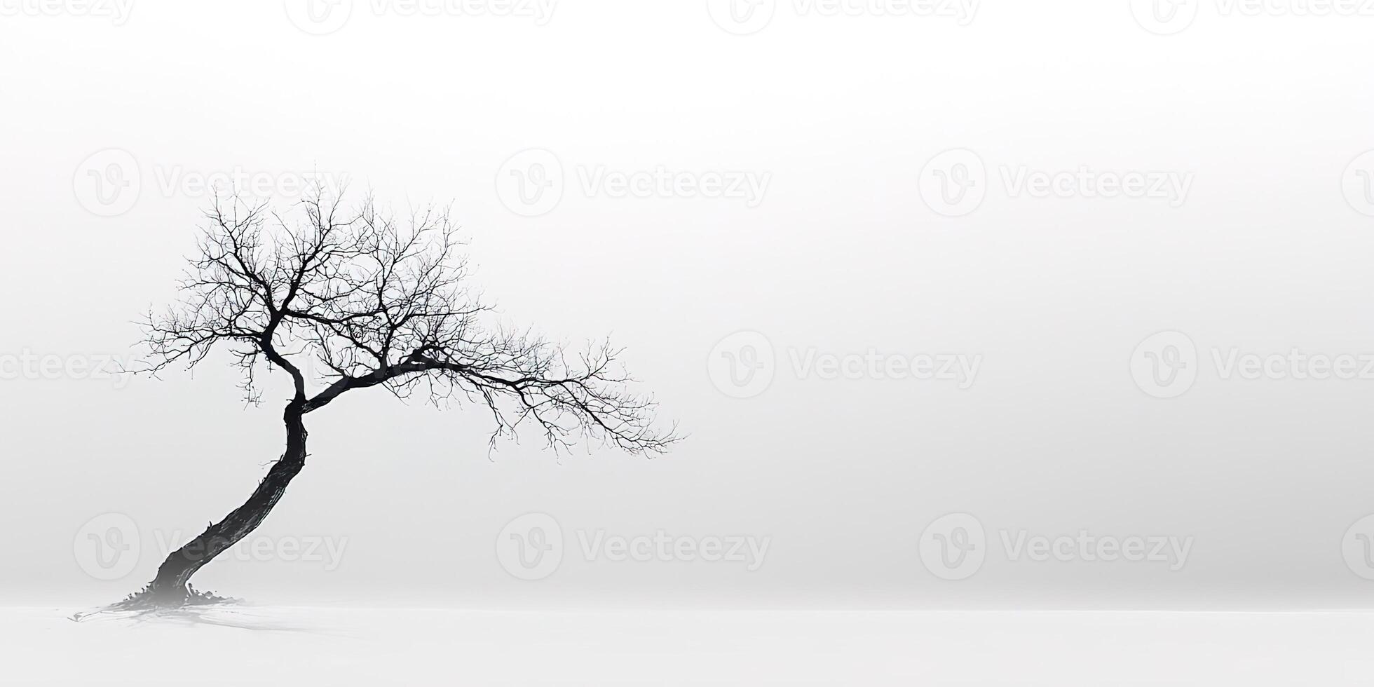 A lone tree in the fog photo
