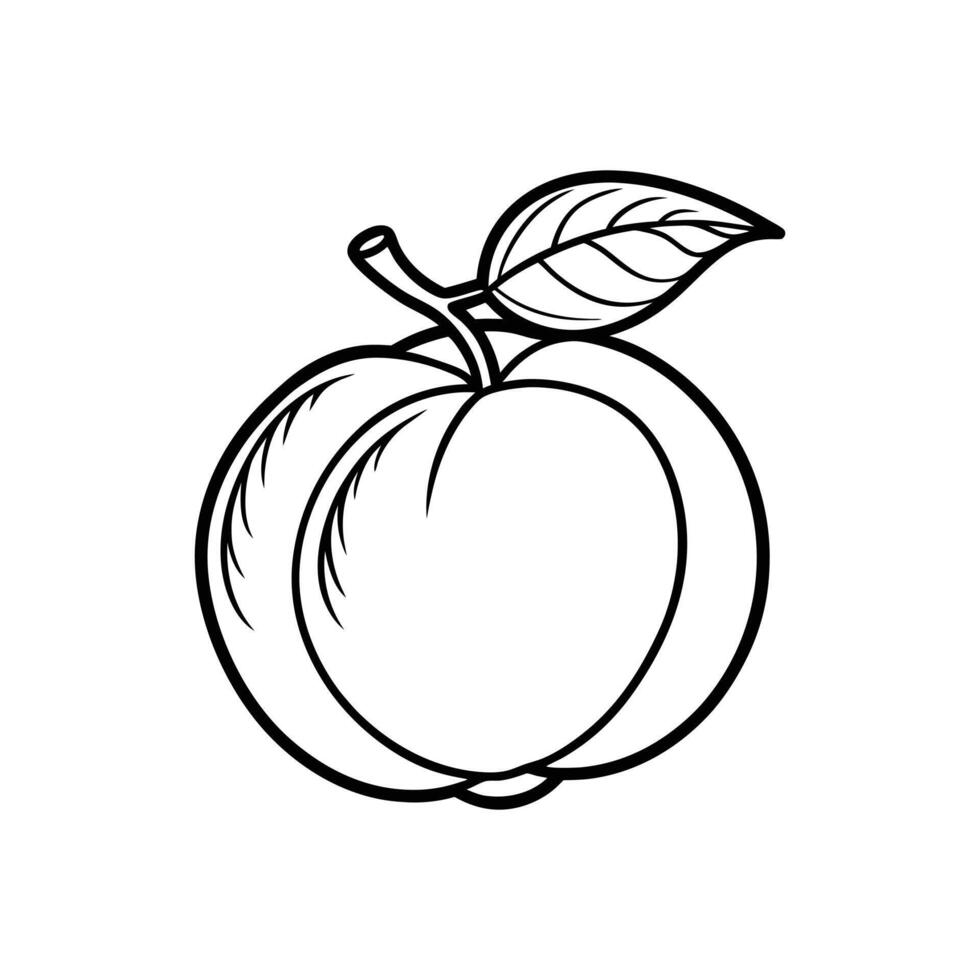 Apricot Line Icon . Simple Design Template for White Background vector
