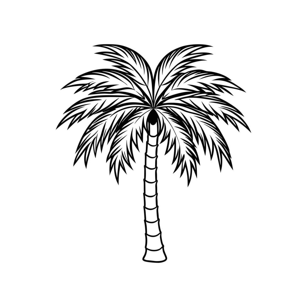 Palm Tree line Icon Illustration. Isolated Coconut Palm Silhouette vector