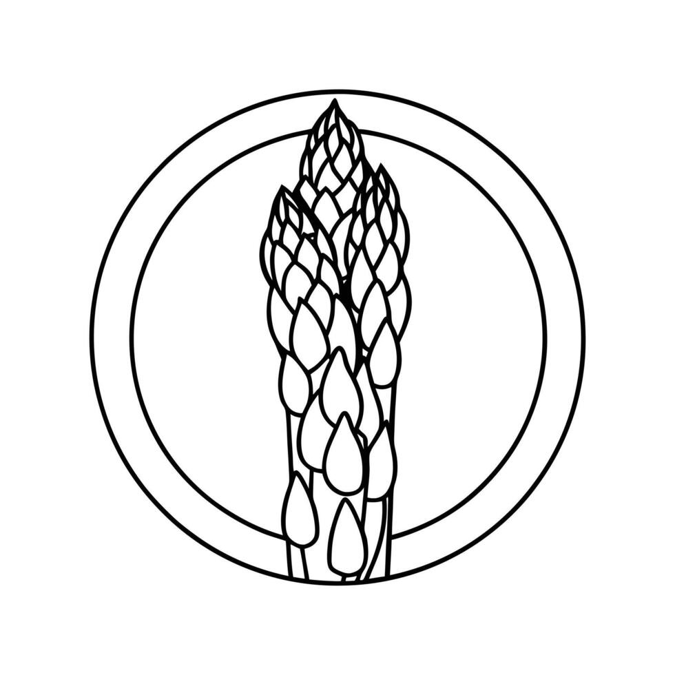 Illustration of shoots of garden asparagus. Flat line icon of fresh organic sparrow grass vector