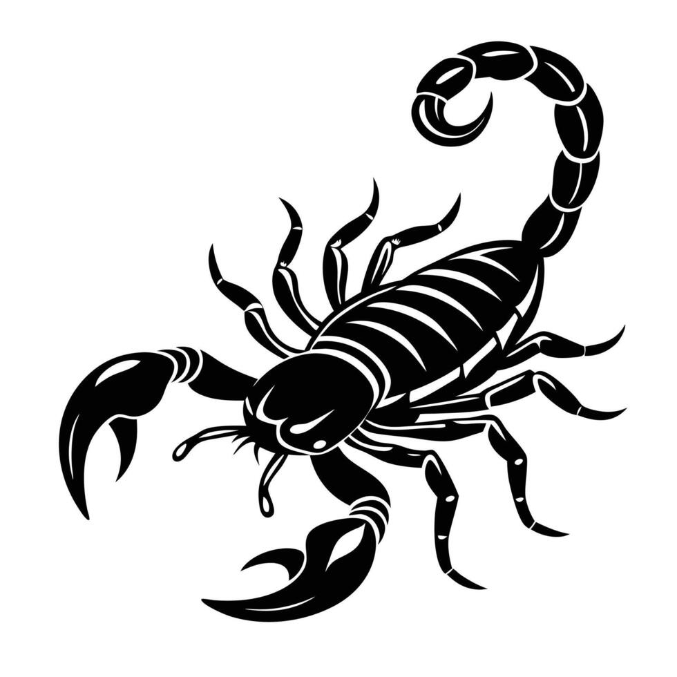 scorpion tattoo design illustration vector