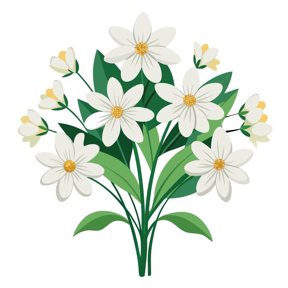 a bouquet of white flowers on a white background vector