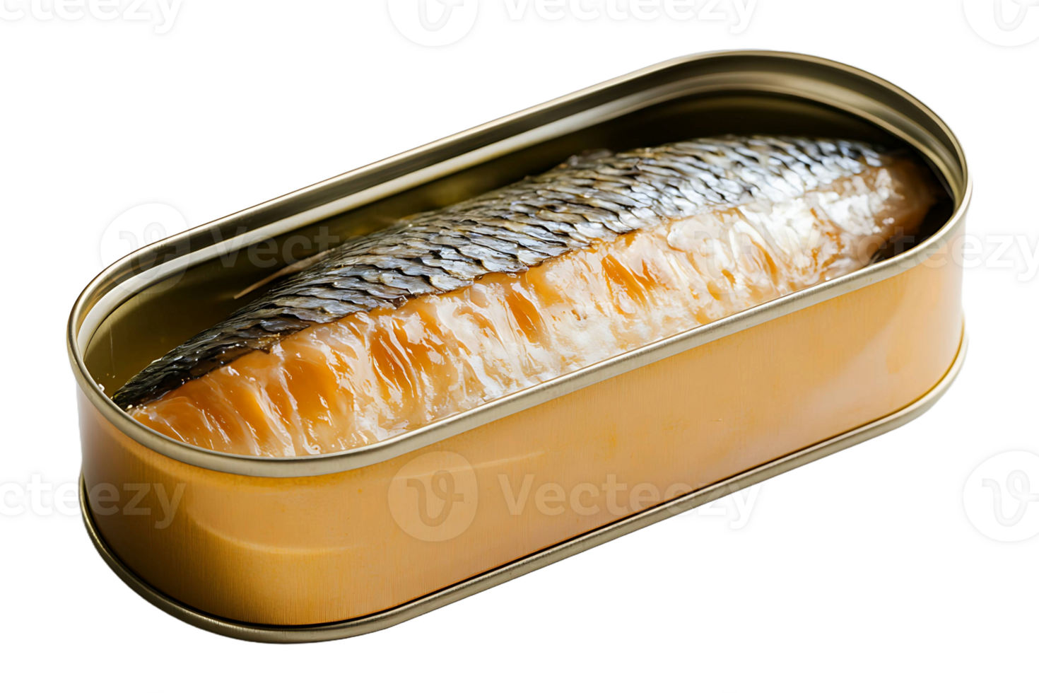 A can of sardines in a tin png