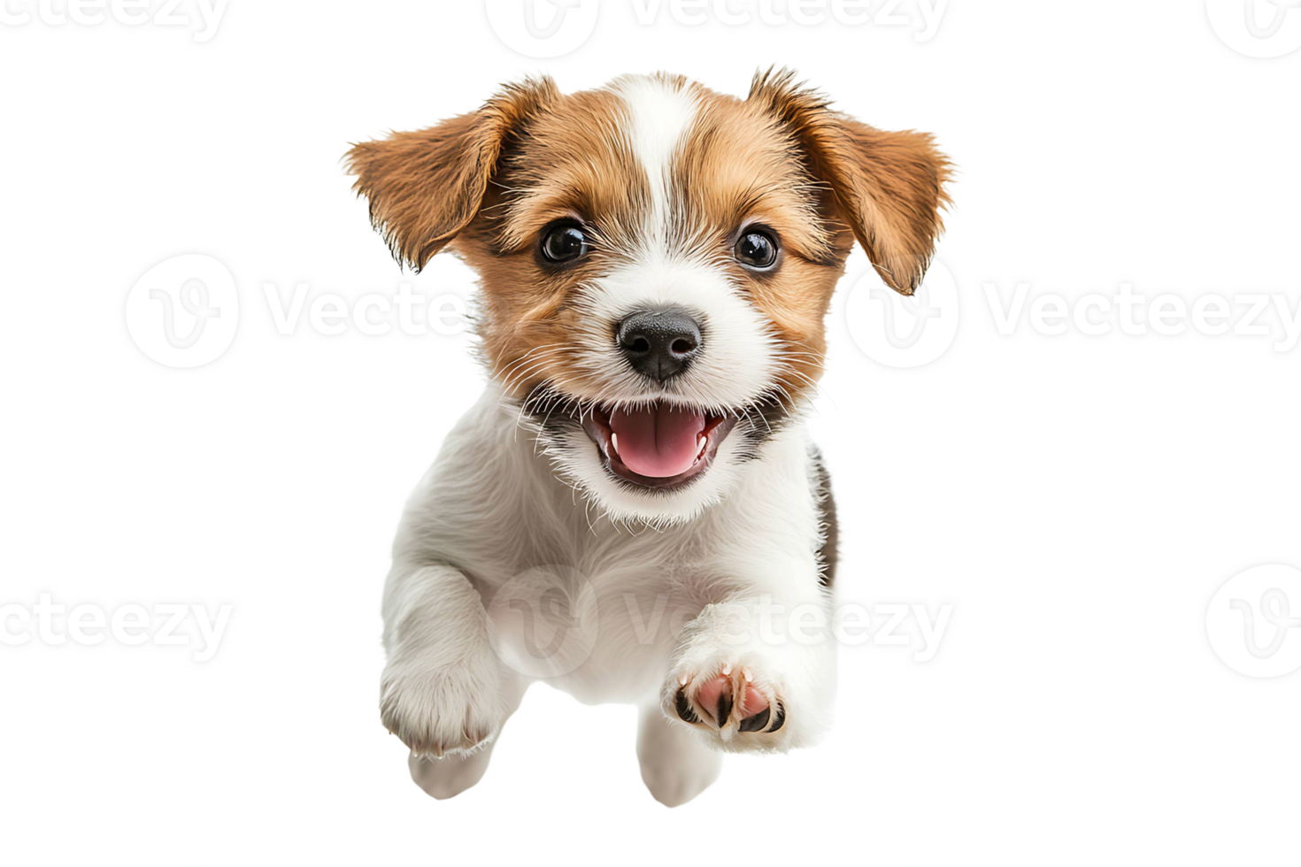 Portrait of a playful puppy jumping isolated on transparent background png
