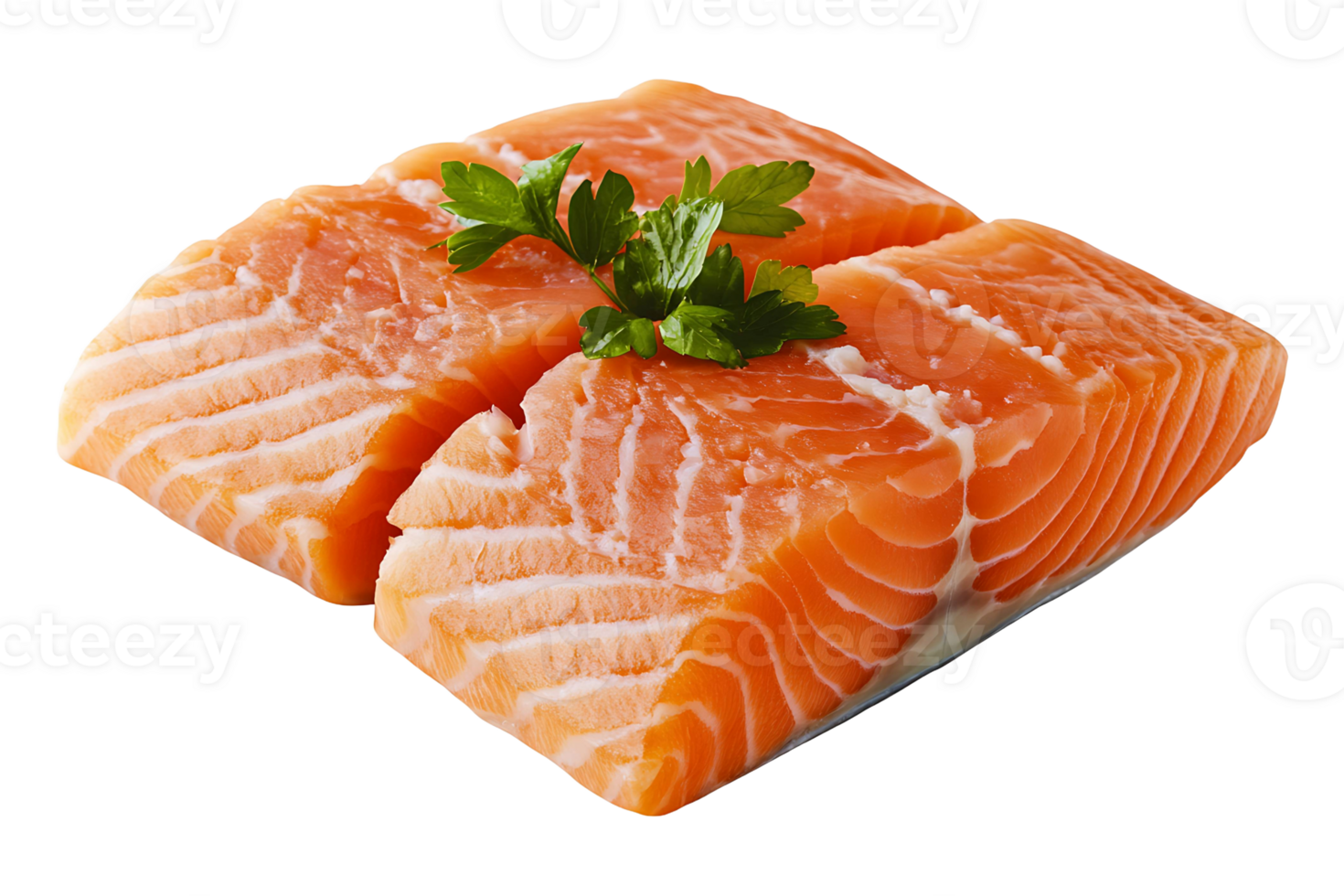 Raw salmon fillet isolated on transparent background png