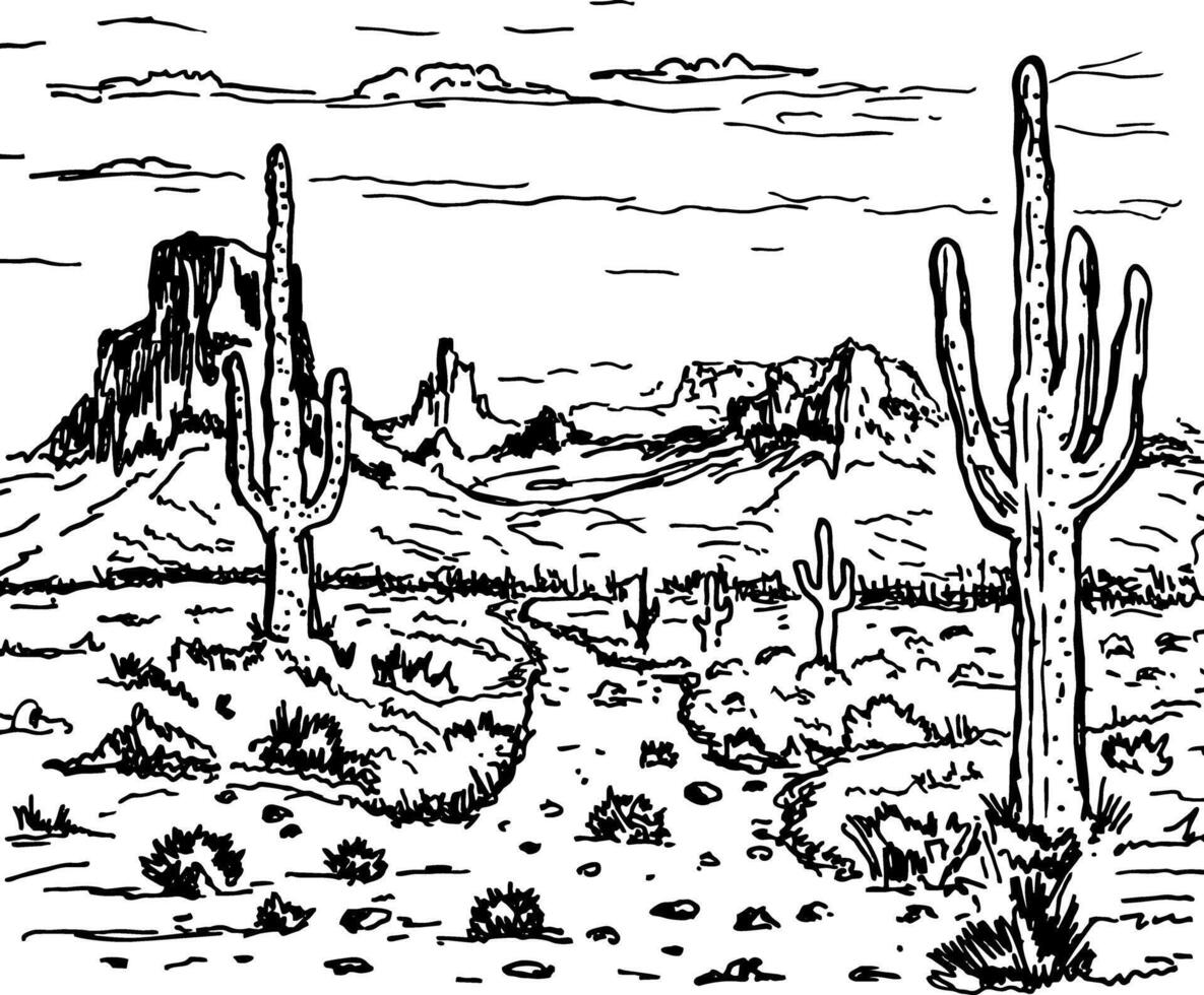 Desert panorama landscape. Hand drawn sketch desert with cacti and rocks. Prairie landscape. Arizona line art. vector