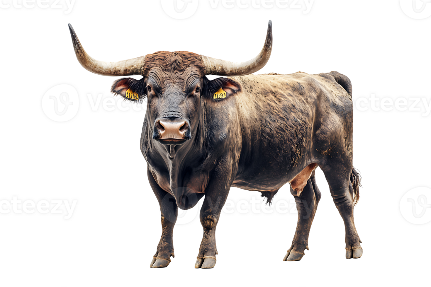 Strong bull with long horns isolated on transparent background. png