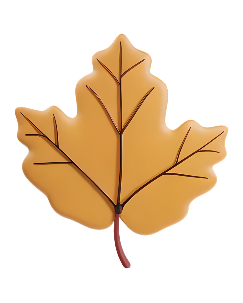 3D Illustration of an autumn leaf png