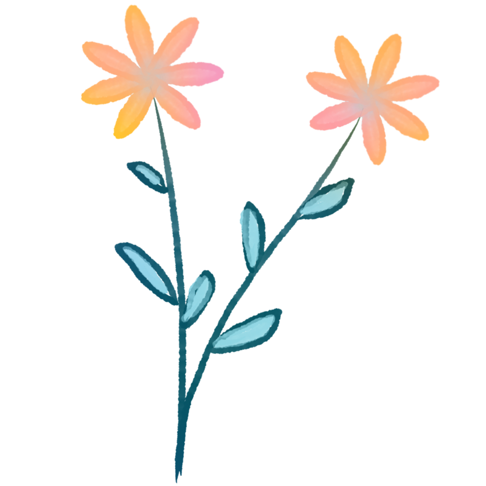 Simple watercolor flowers with leaves on a transparent background png
