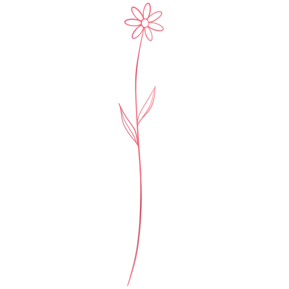 Simple pink flower with a stem on a transparent background png