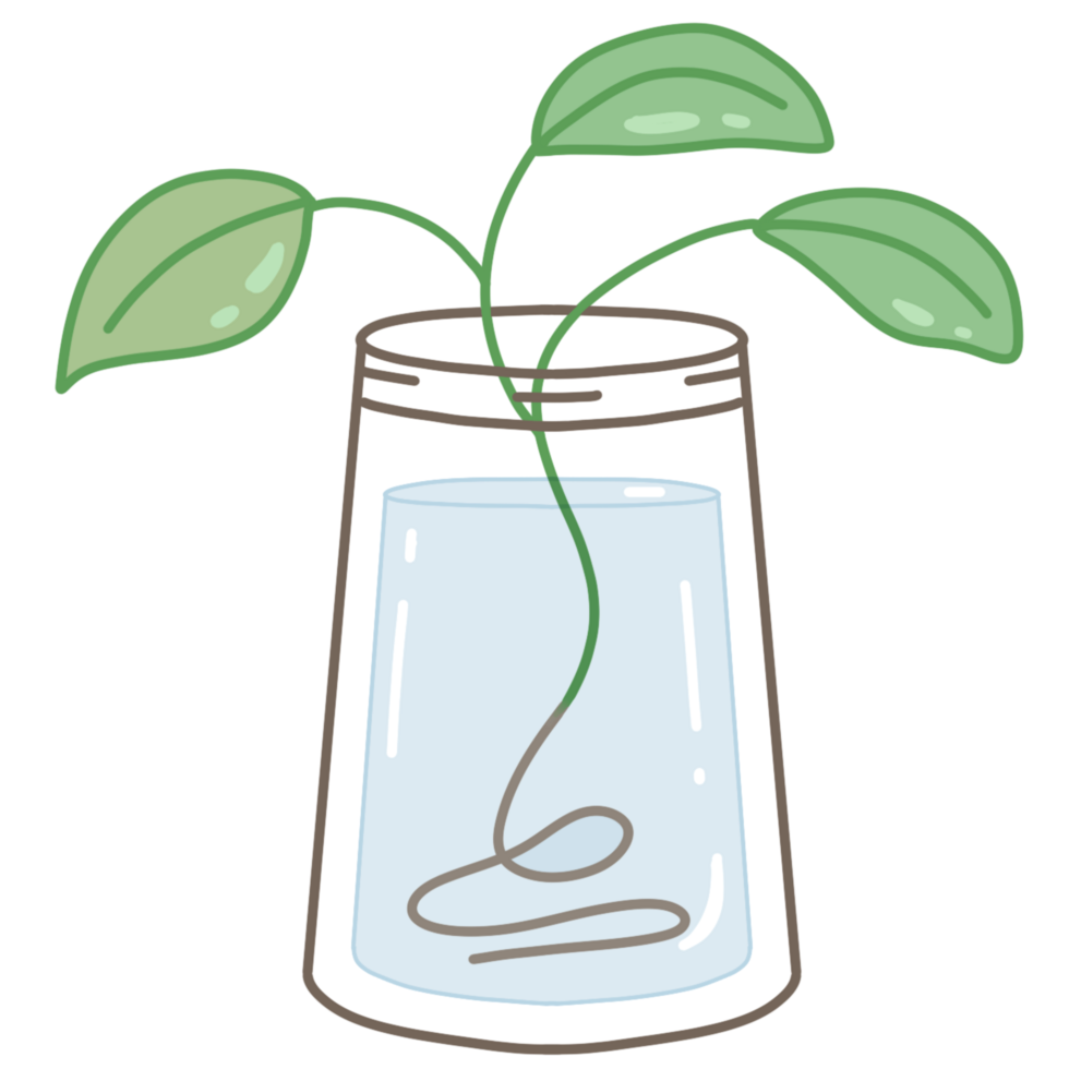 home plant green png