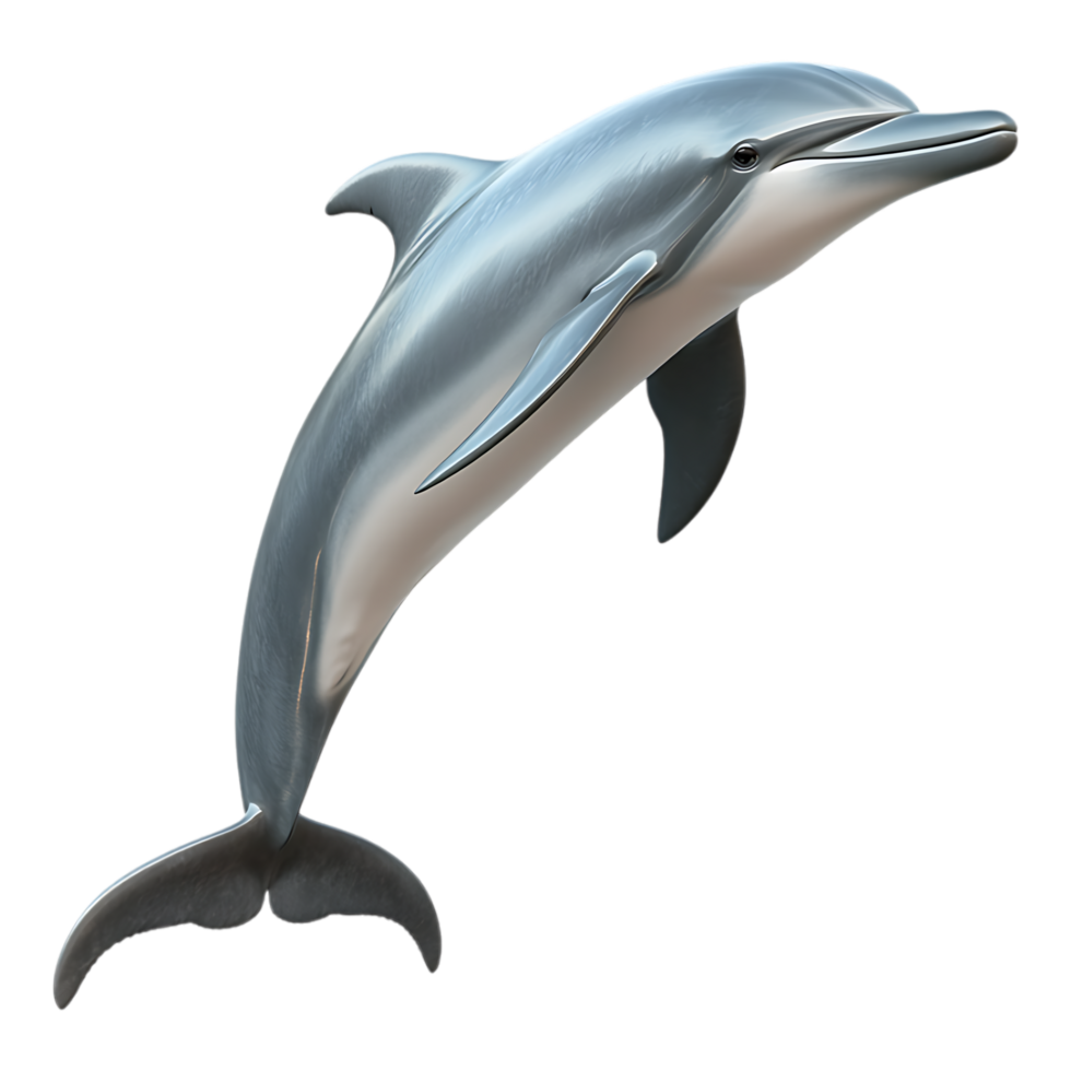Dolphin Fish Transparent Empty Background png