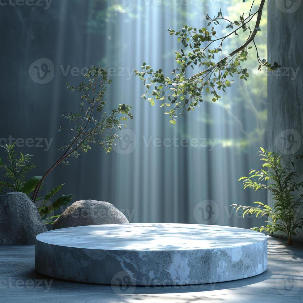 Photo of a podium for product presentation