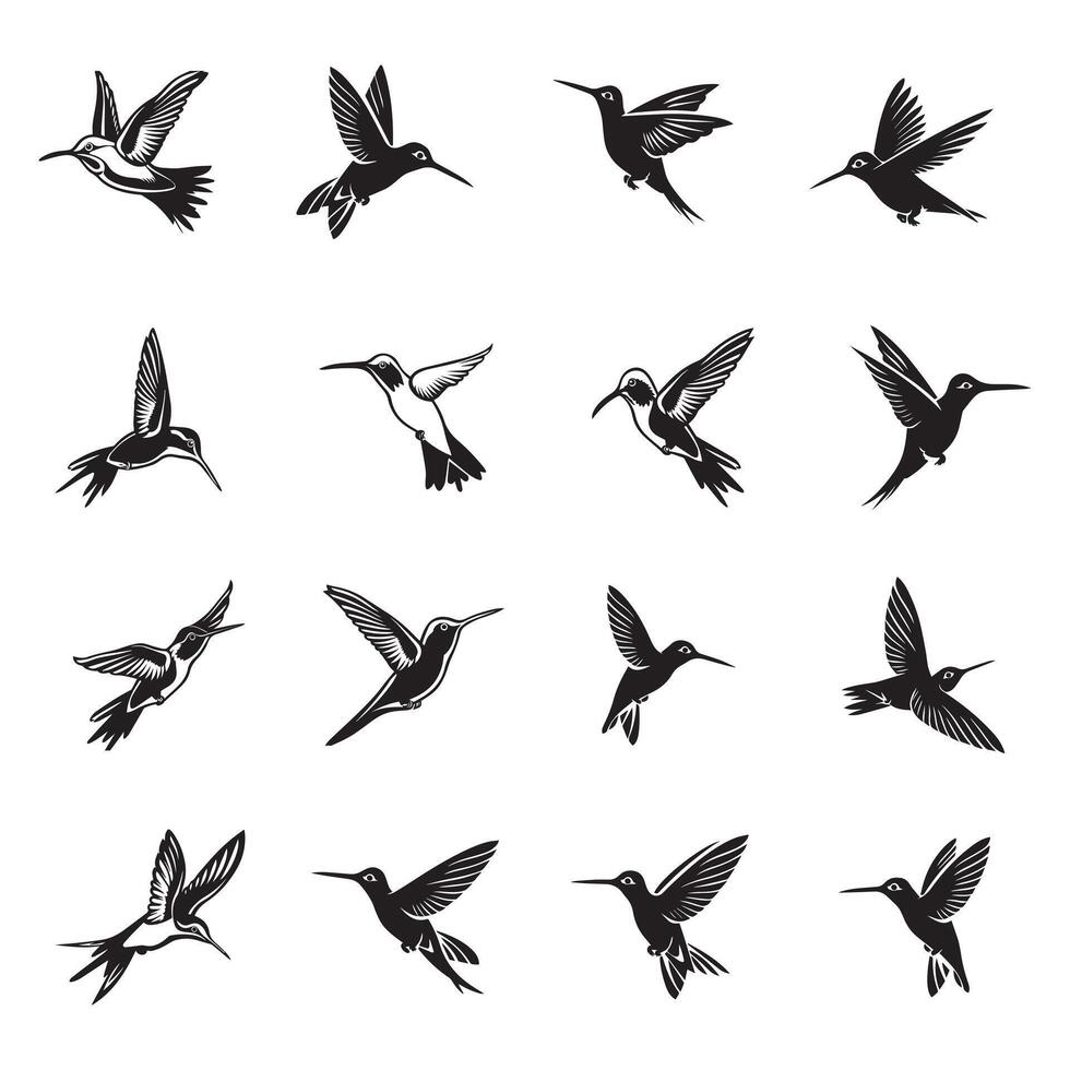 Collection of Hummingbird Illustration - Cute Hummingbird ClipArt Design vector