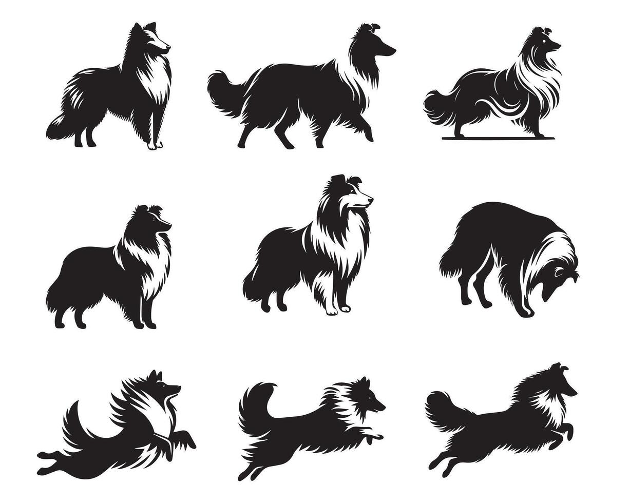 Set of Sheltie Dog illustration - Sheltie Dog Silhouette Clipart Design vector