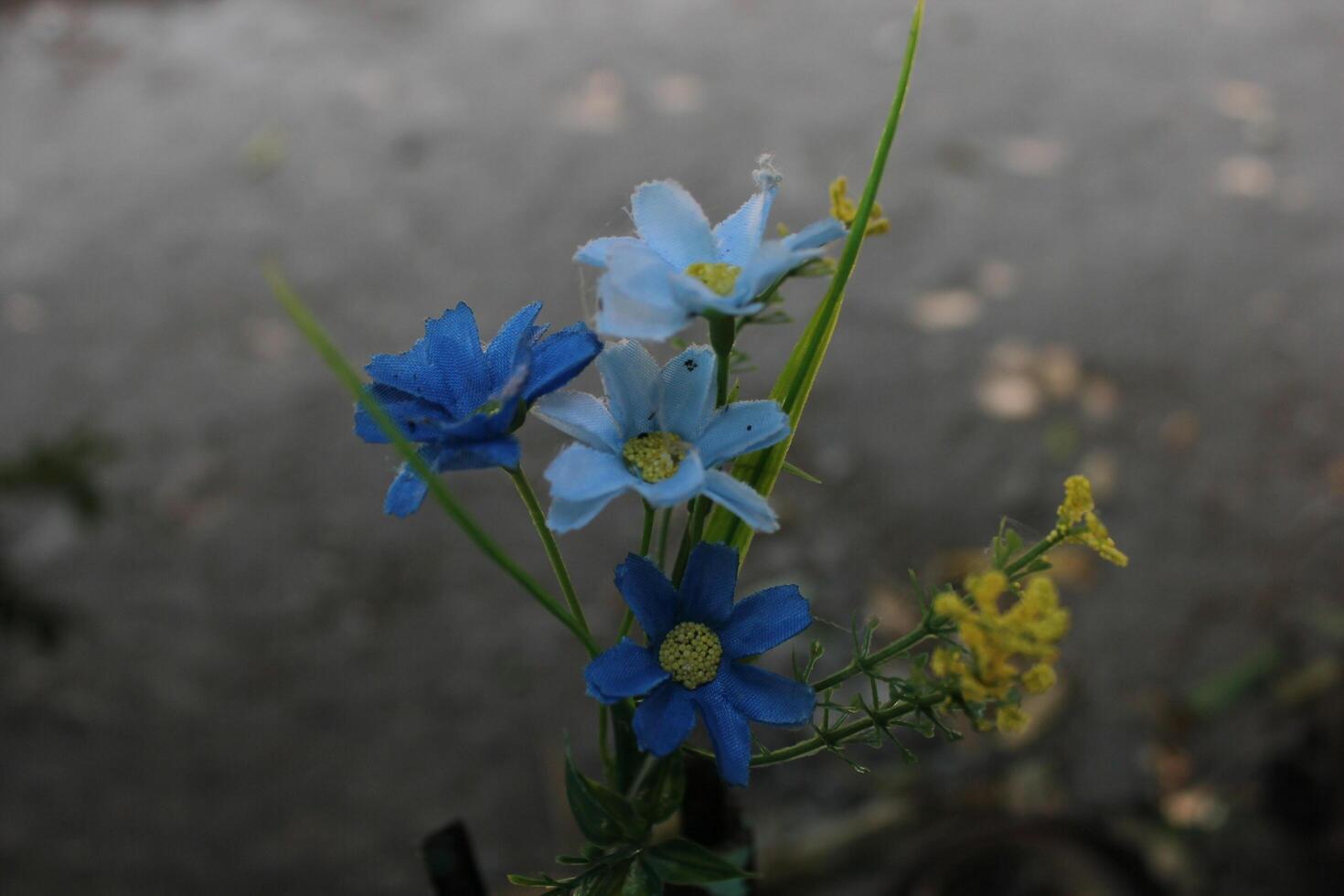 artificial flowers with a bokeh background photo